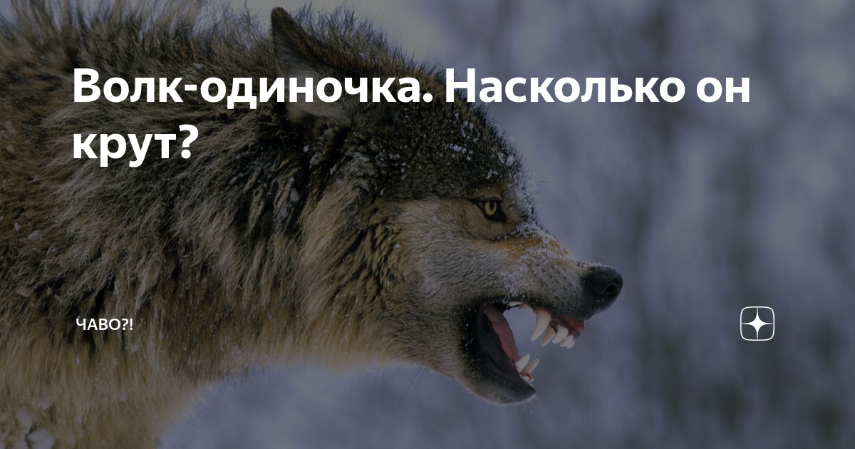 За кого нельзя выходить замуж: 5 типов мужчин