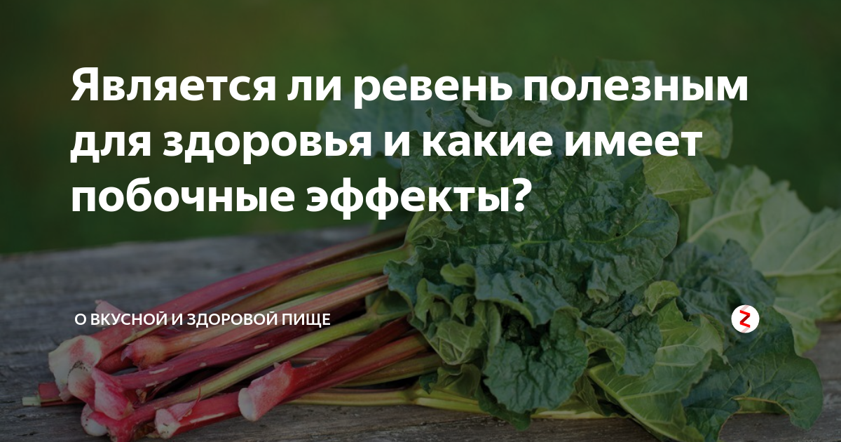 Ревень. Чем полезен ревень. Ревень полезные свойства. Чем полезен Ревин.