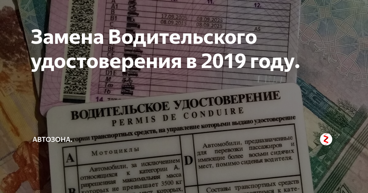 Замена водительских прав в Беларуси смена фамилии. Сколько стоит замена водительского удостоверения в 2024