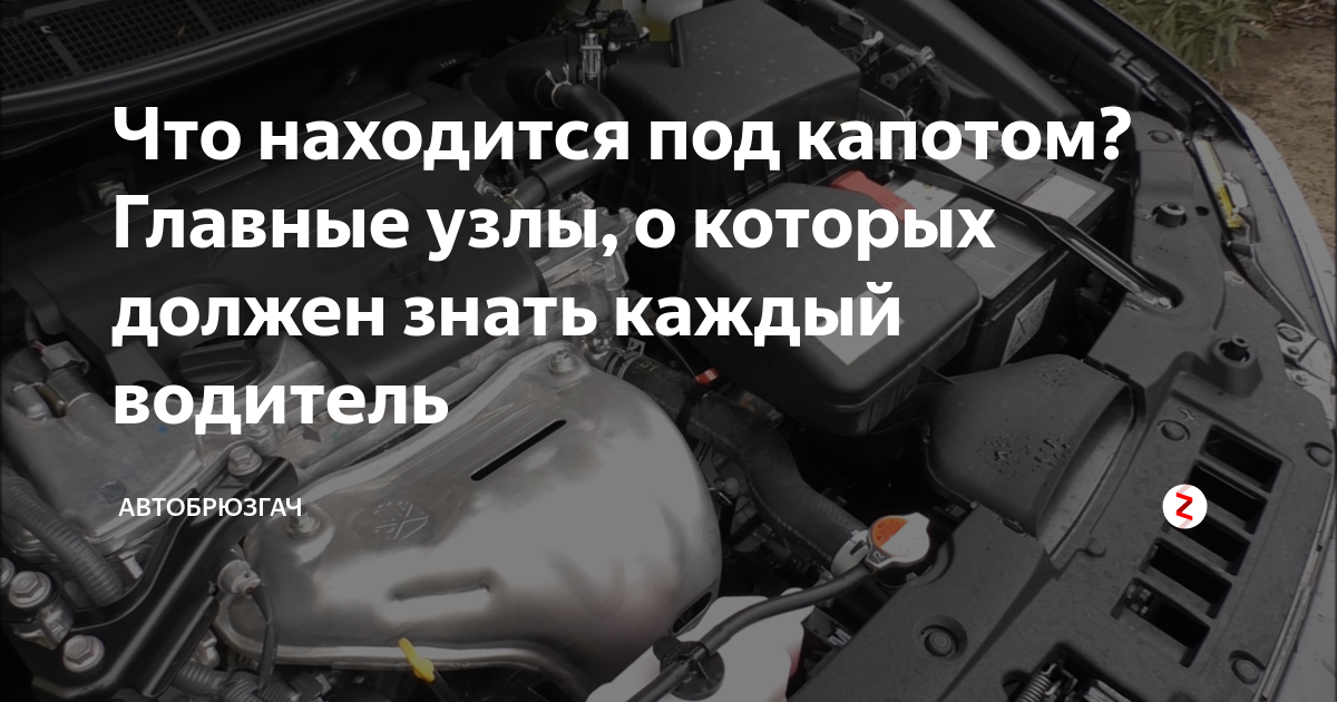 Что находится под капотом? Главные узлы, о которых должен знать каждый водитель