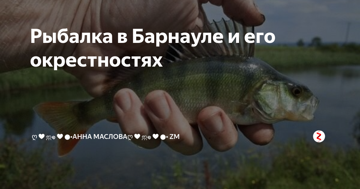 Где можно порыбачить в окрестностях Барнаула и что нужно с собой прихватить