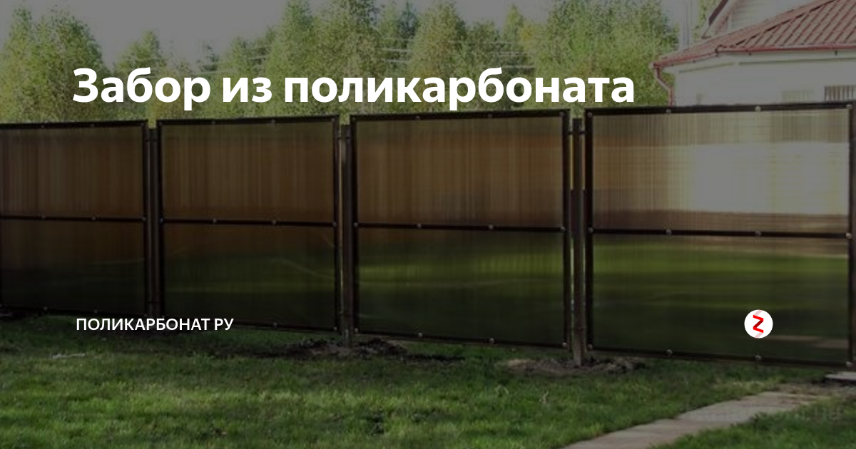 Забор из поликарбоната: ограждение участка своими руками