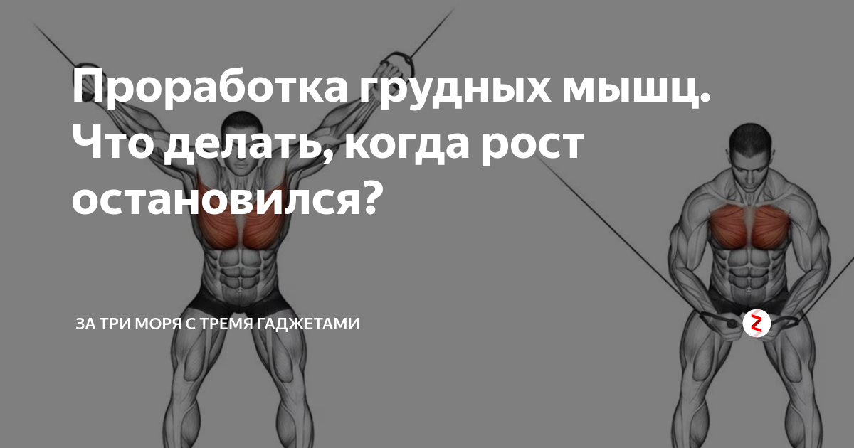Рост не останавливается. Базовые и изолирующие упражнения. Как проработать грудные мышцы. Проработка грудных базовые упражнения. Не растут грудные мышцы
