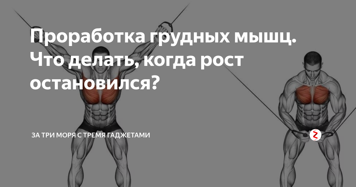 Когда останавливается рост. Проработка мышц. Не растут грудные мышцы. Как понять что мышцы растут. Тренировки останавливают рост.