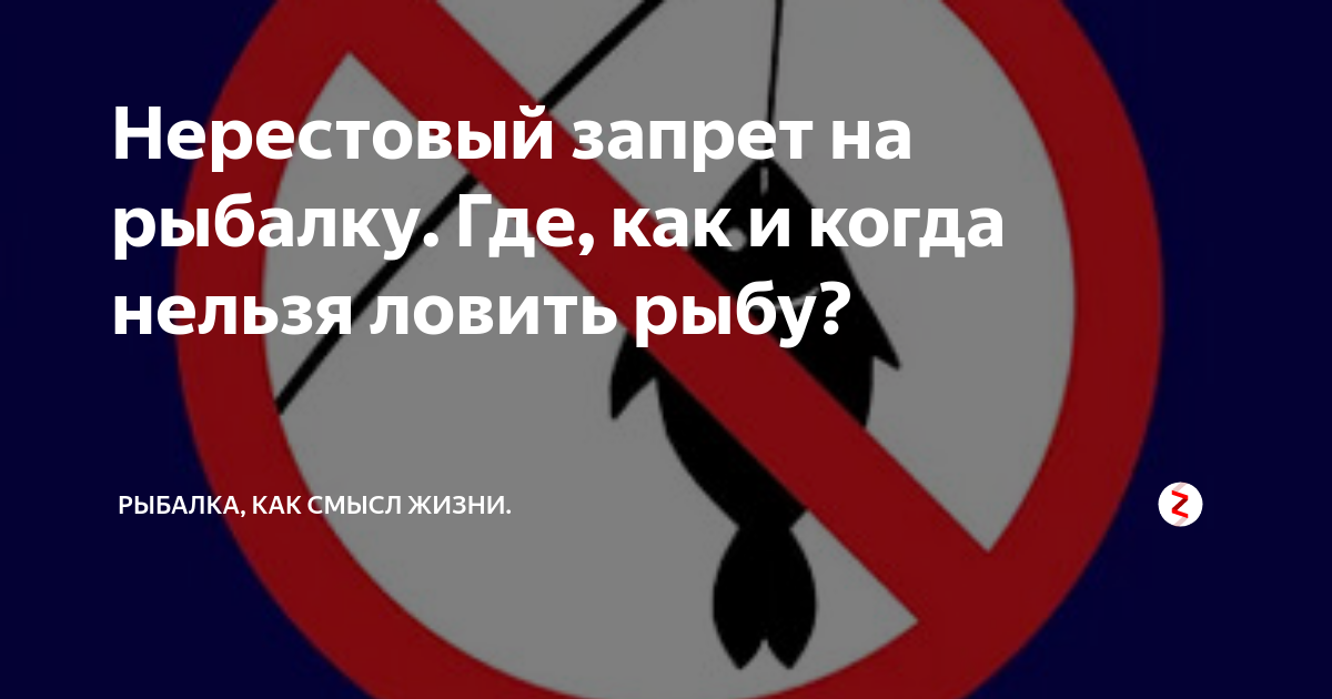 Нерестовый запрет. Нерестовый запрет в Московской области в 2024 году. Нерестовый запрет контроль. Нерестовый запрет 2024 Астрахань. Нерестовый запрет 24 года