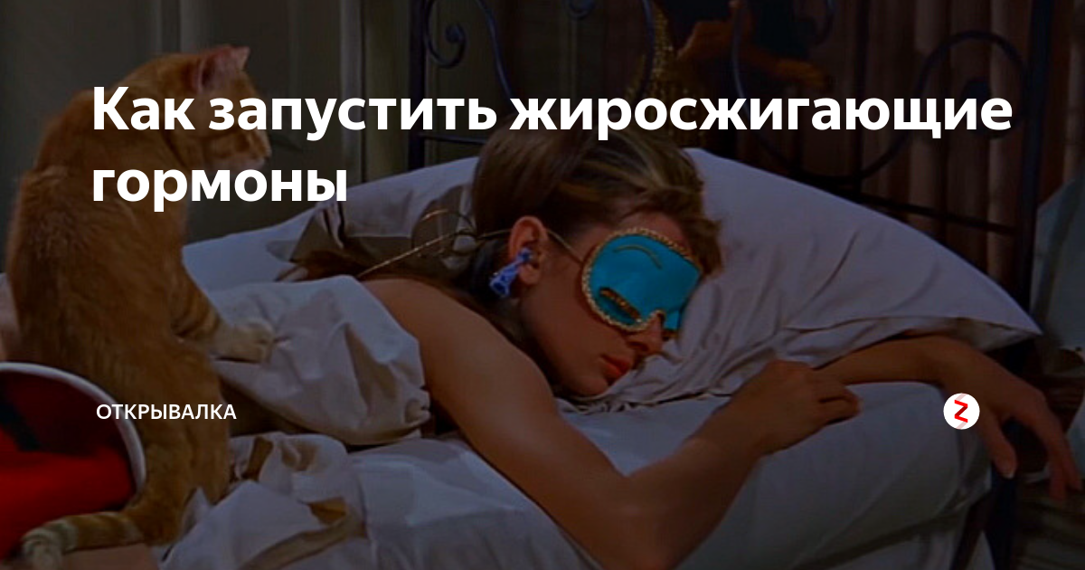 Как запустить жиросжигающие гормоны | Открывалка | Дзен