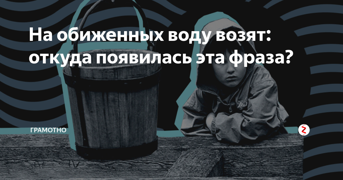 Поговорка на обиженных воду возят. Продолжение поговорки на обиженных воду возят. На обиженных воду возят картинки. На сердитых воду возят. Почему воду возят