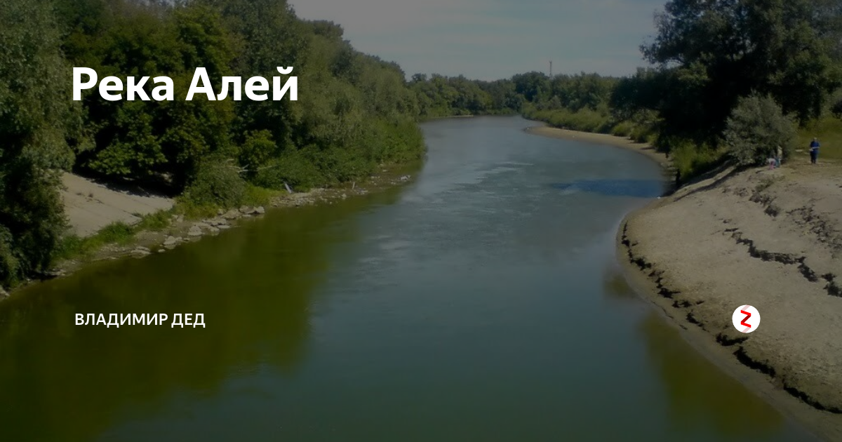 Река алей Алтайский край. Река алей в Рубцовске. Глубина реки алей в Алтайском крае. Откуда берет начало река алей.