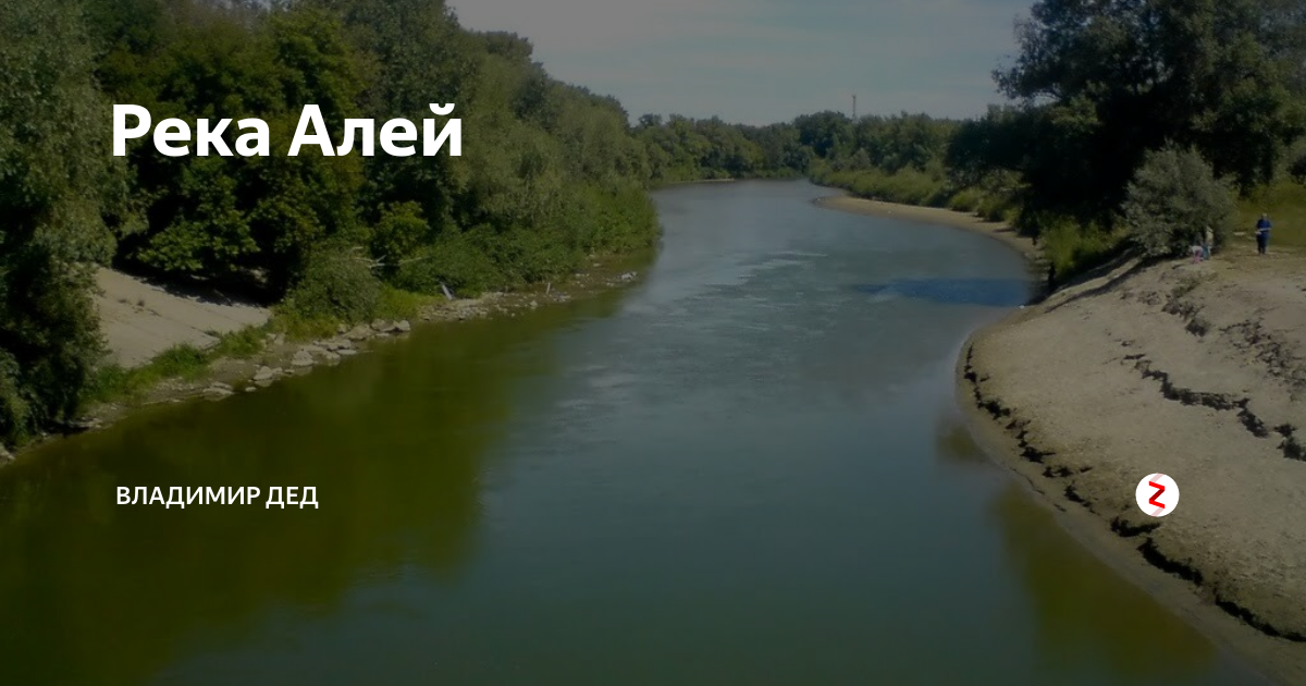 Уровень воды в реке алей. Река алей Алтайский край. Река алей в Рубцовске. Глубина реки алей в Алтайском крае. Откуда берет начало река алей.