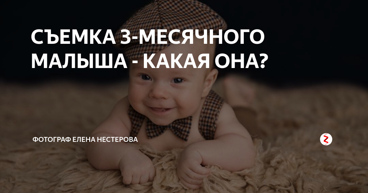 какой малыш единственный мире. котопёс текст. какой малыш единственный мире. дети с необычными способностями. малыш боксер собака.