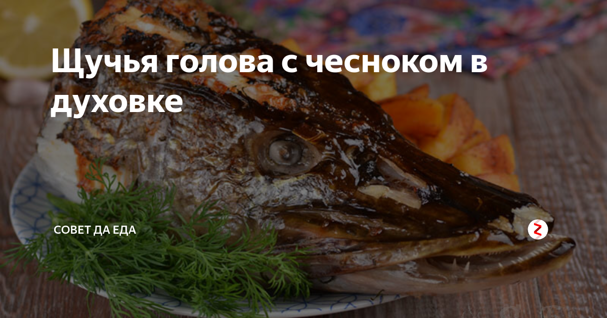окунь речной в чешуе в духовке