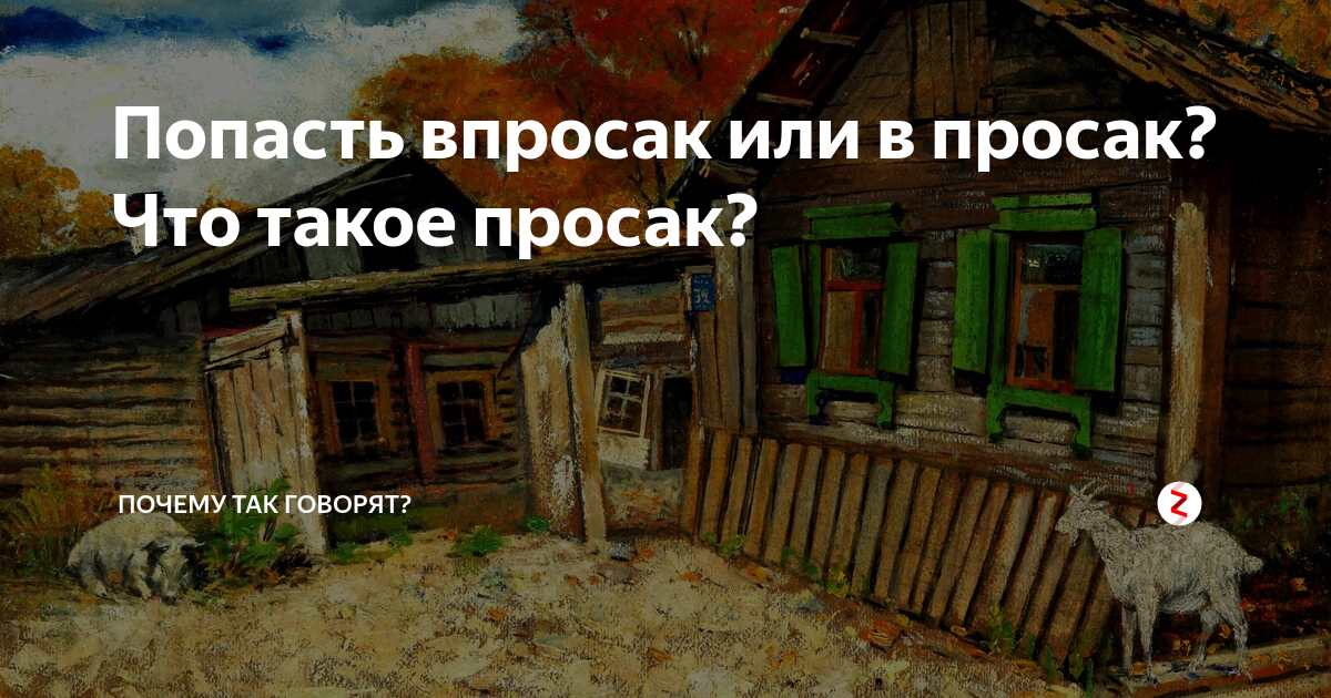 Что означает слово просак. Попасть впросак. Впросак у женщины. В просак или впросак. Попасть в просак фразеологизм.