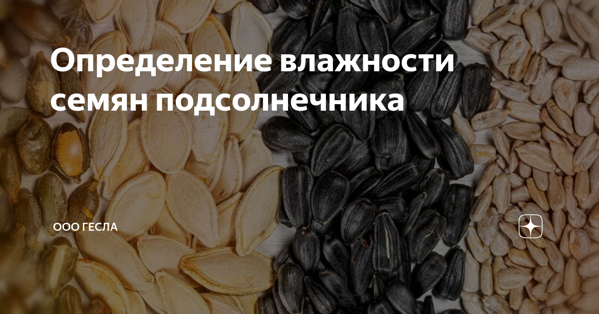 Почему нельзя на хранение влажные семена. Влага и семена. Как протравить семена подсолнечника. Вес семечки подсолнуха в 1 Кубе.