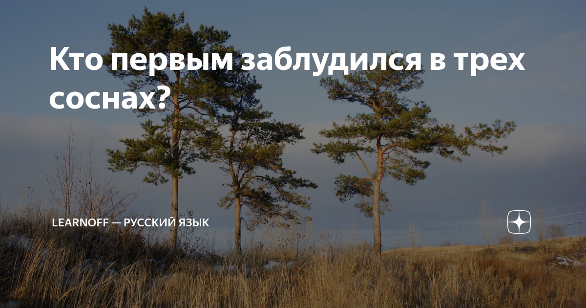 Что значит в трех соснах заблудился. Значение выражения заблудиться в 3 соснах.