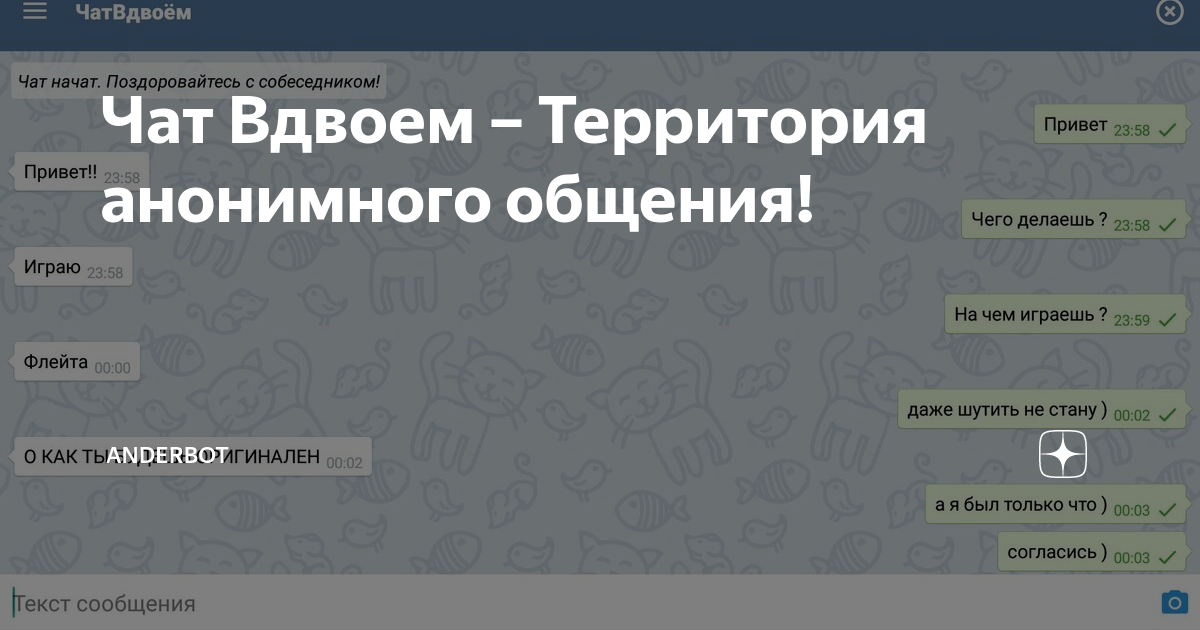 Чат вдвоем: о программировании и не только