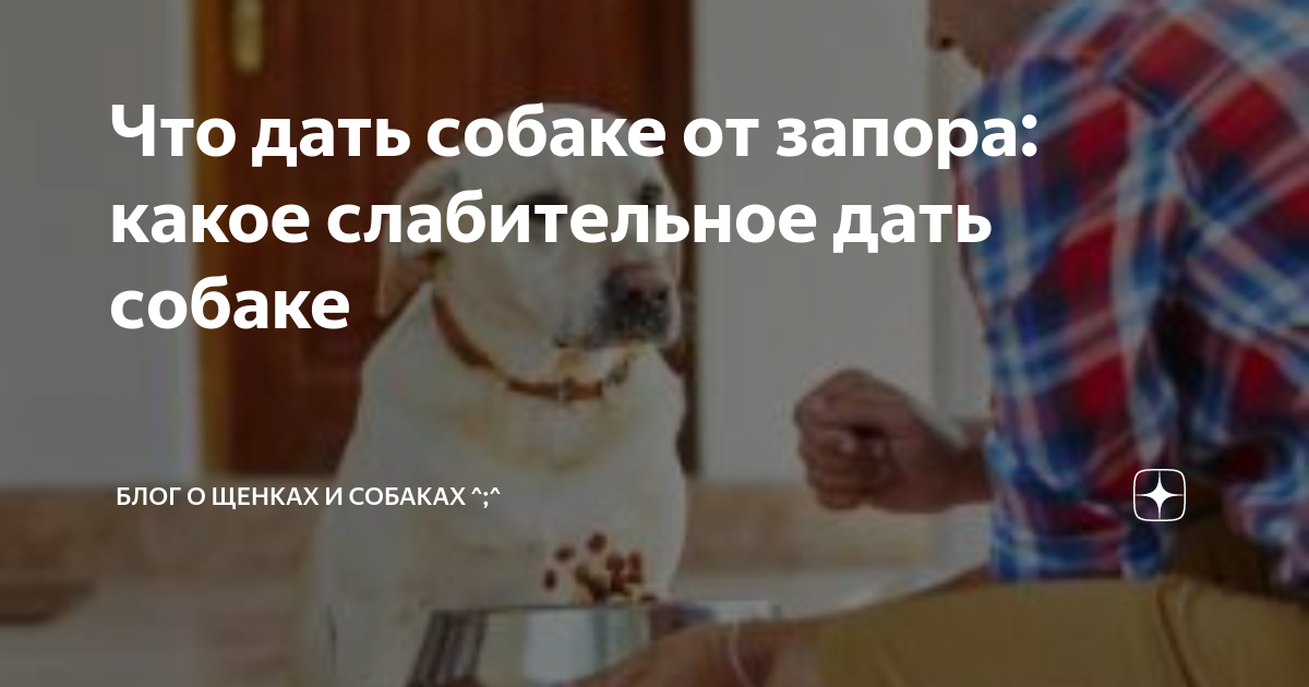 Запор у собак