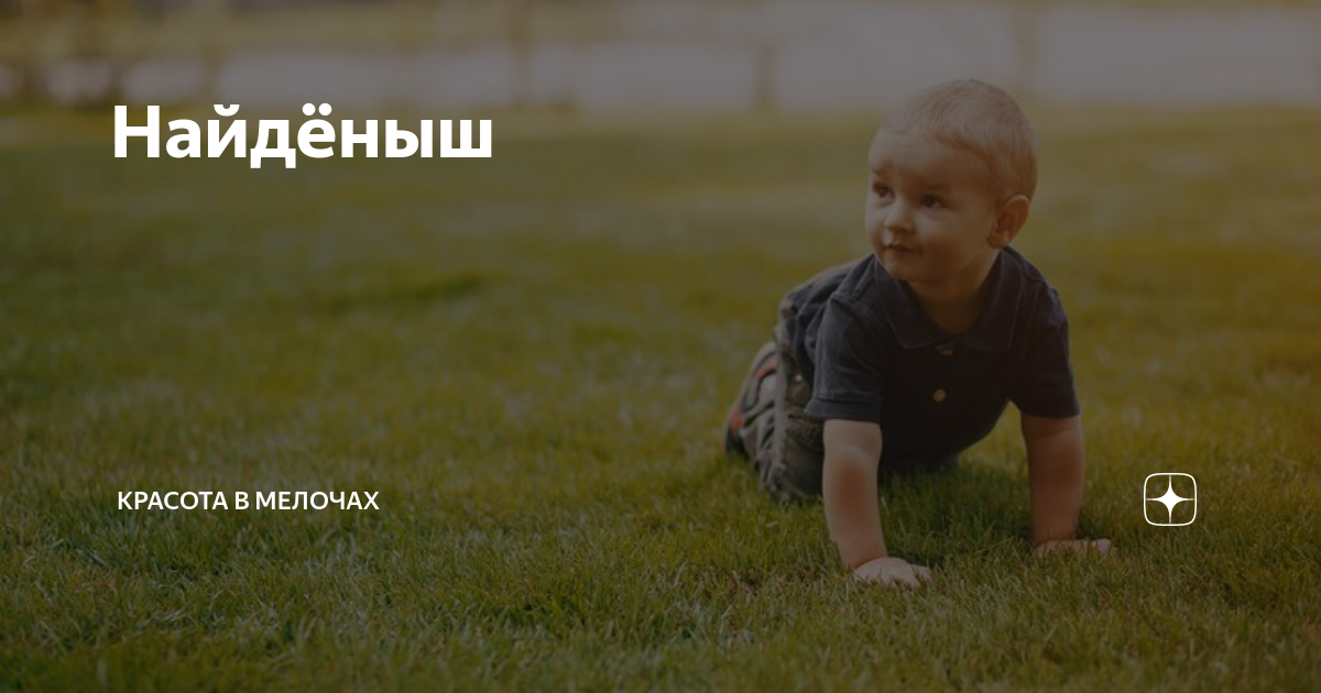 Найдёныш | КРАСОТА В МЕЛОЧАХ | Дзен