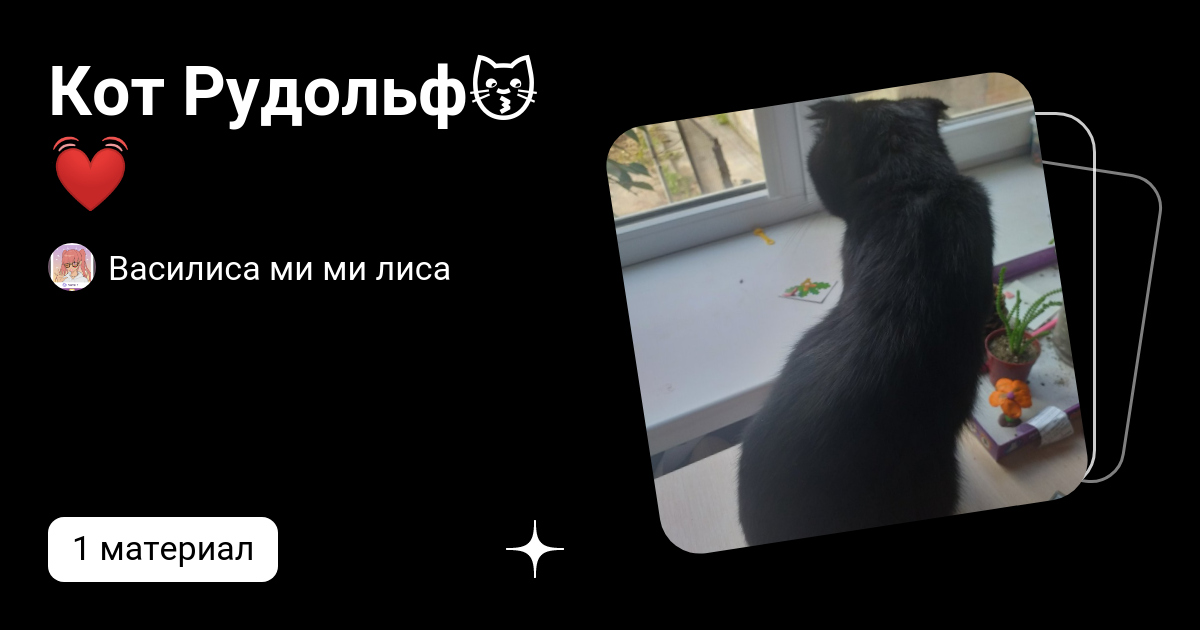 Кот Рудольф😽💓