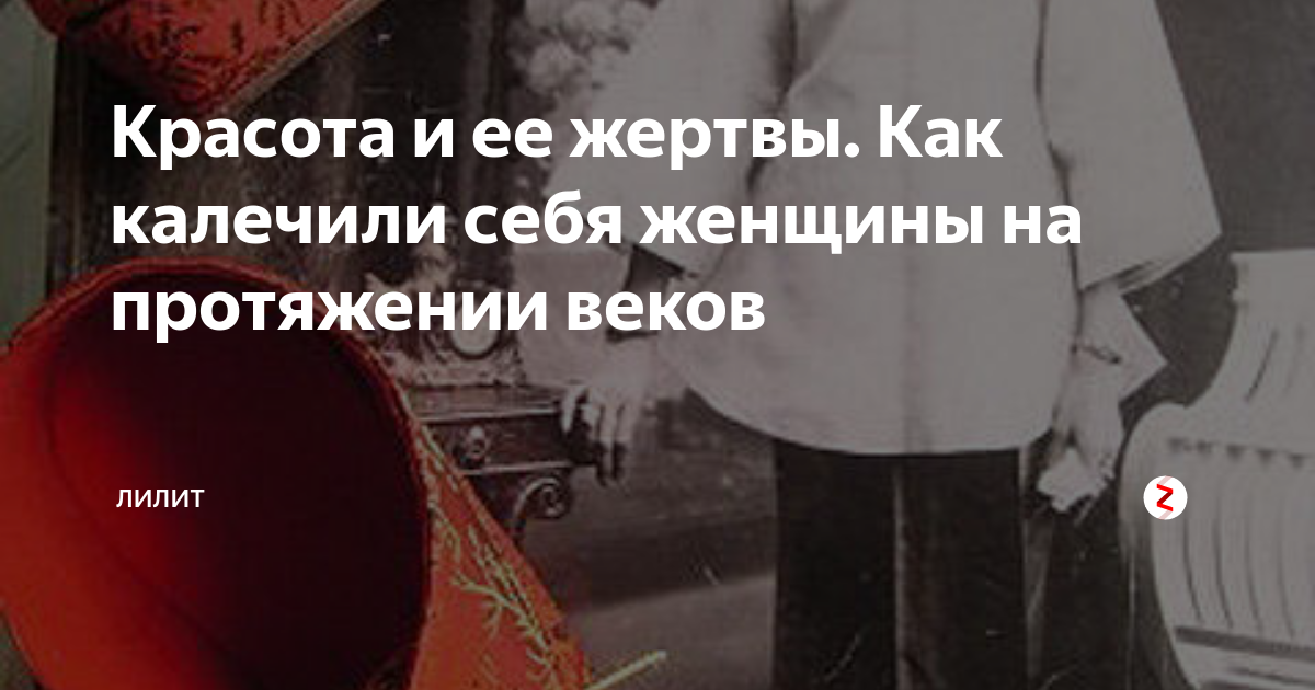 zen.yandex.ru