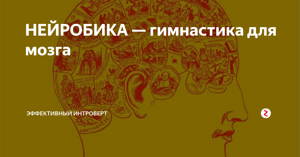 Нейробика. Нейробика упражнения. Нейробика экзерсисы для тренировки мозга. Нейробика упражнения для мозга для детей.