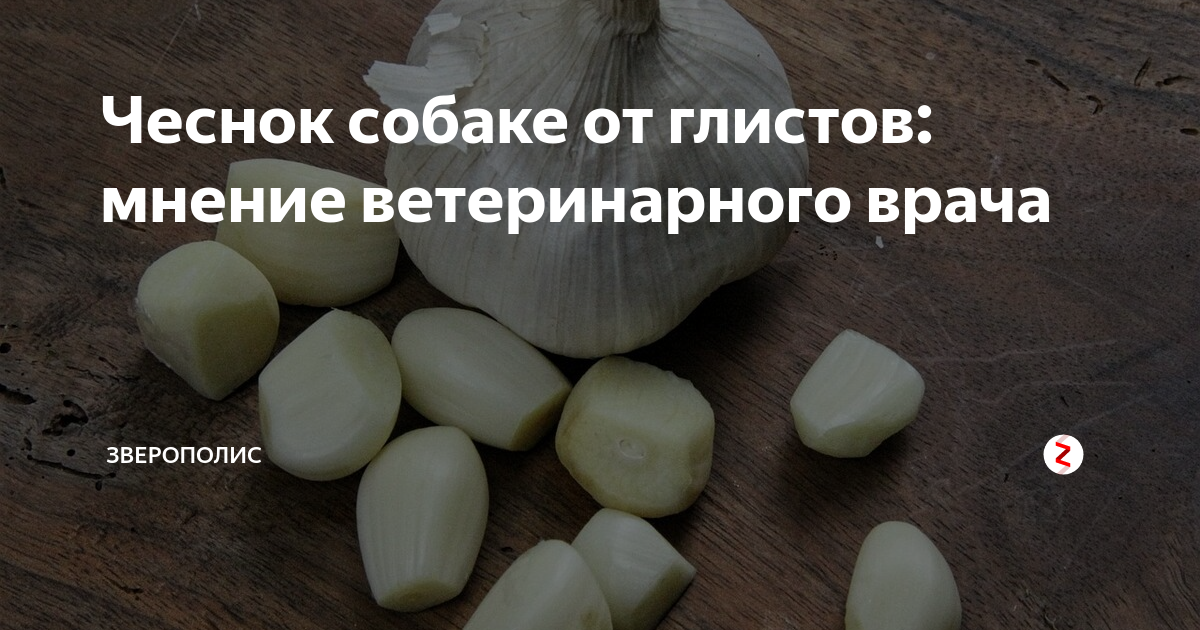 Стоит ли давать чеснок детям от глистов и прочих паразитов? Рецепты и рекомендации