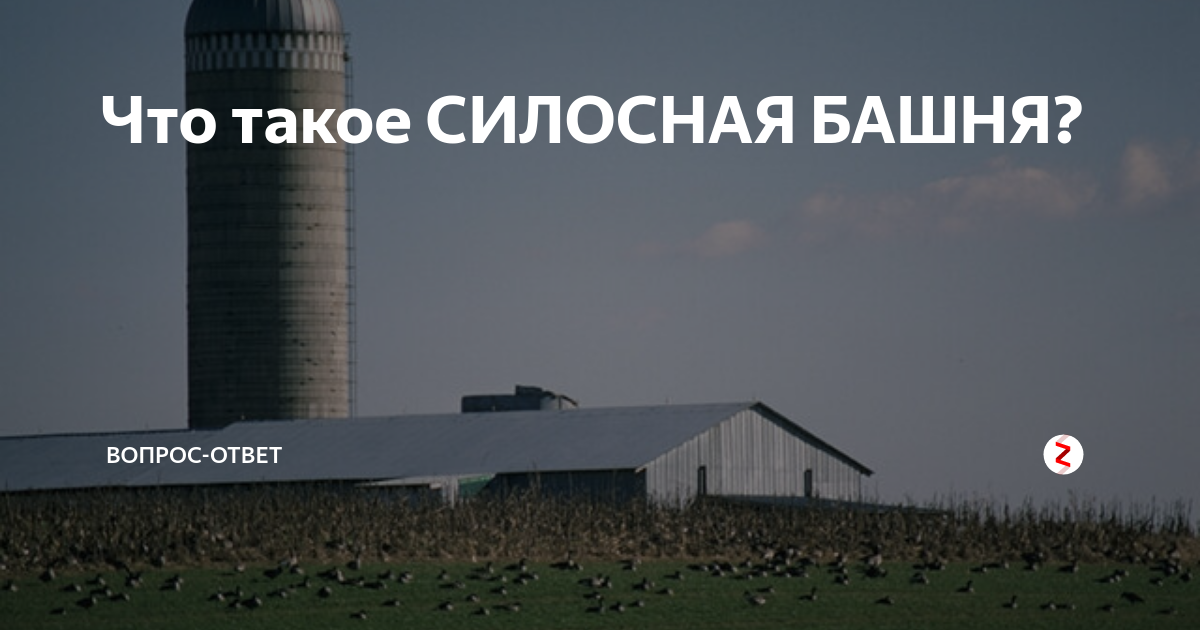 Что такое СИЛОСНАЯ БАШНЯ? | Вопрос-Ответ | Дзен