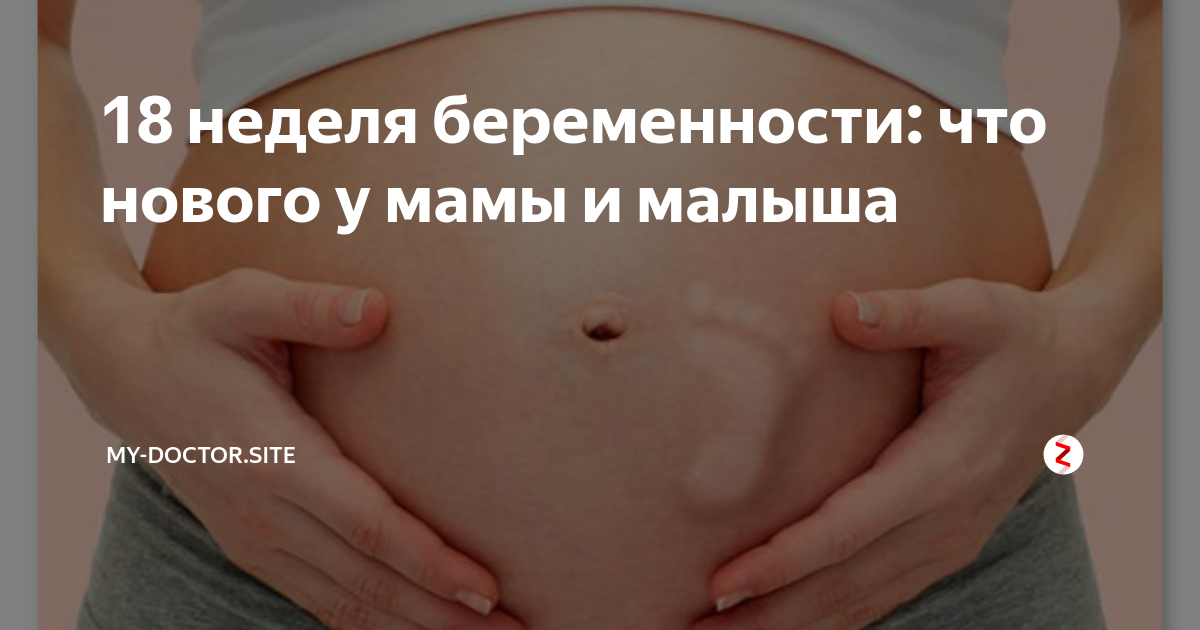 Живот на 18 неделе беременности. Размер ребёнка на 18 неделе беременности. 18 Недель беременности размер.