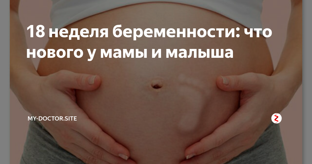 18 недель. Конец 18 недели беременности. 18 Недельная беременность. 18 Неделя беременности шевеления