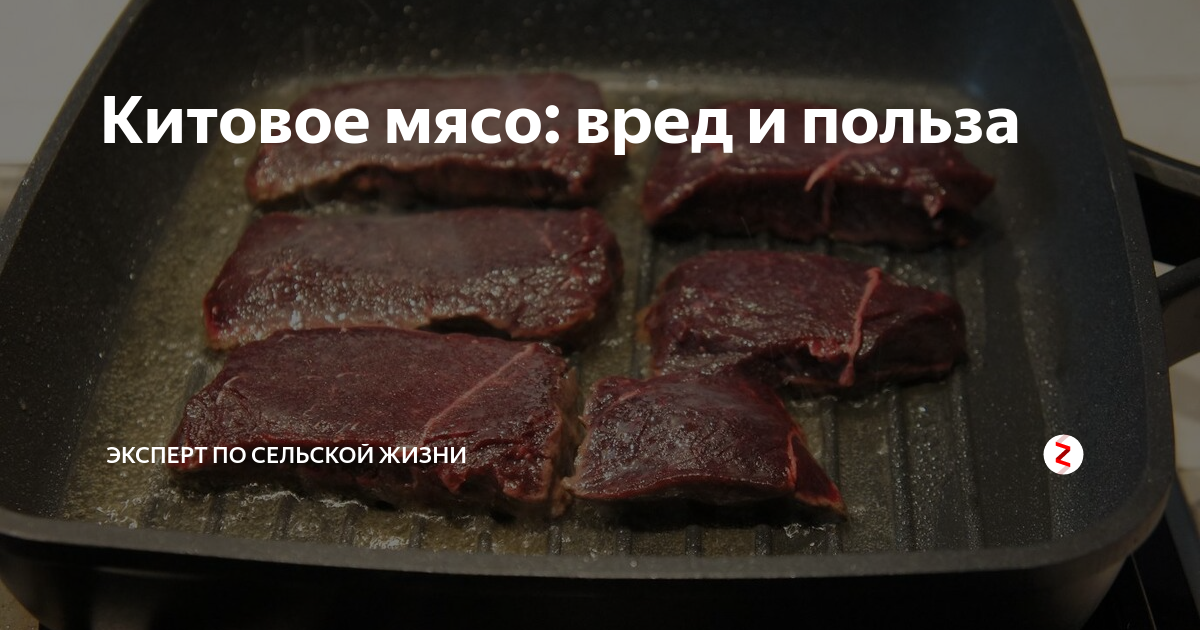 Китовое мясо: вред и польза | Эксперт по сельской жизни | Дзен