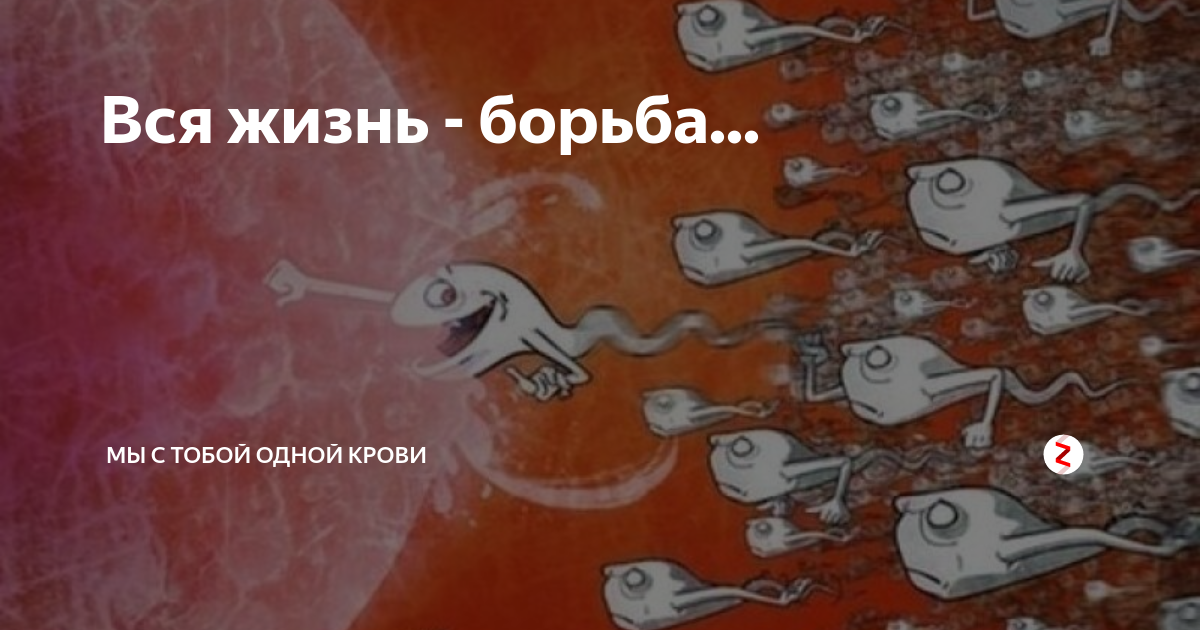 Картинки борьба за жизнь