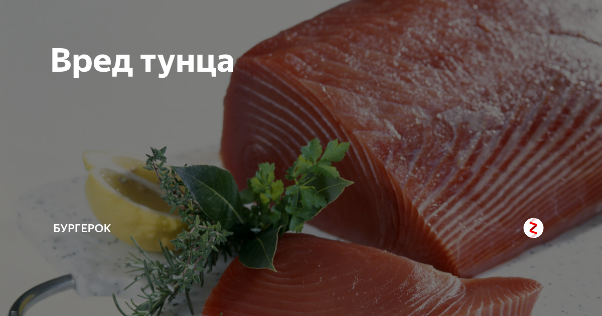 Тунец мясо. Рыба полезная тунец. Тунец вид мяса. Тунец вредный.