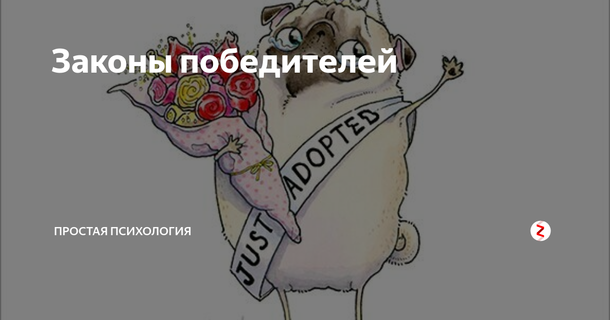 5 законов победителей. 30 законов победителя. будь проще психология.