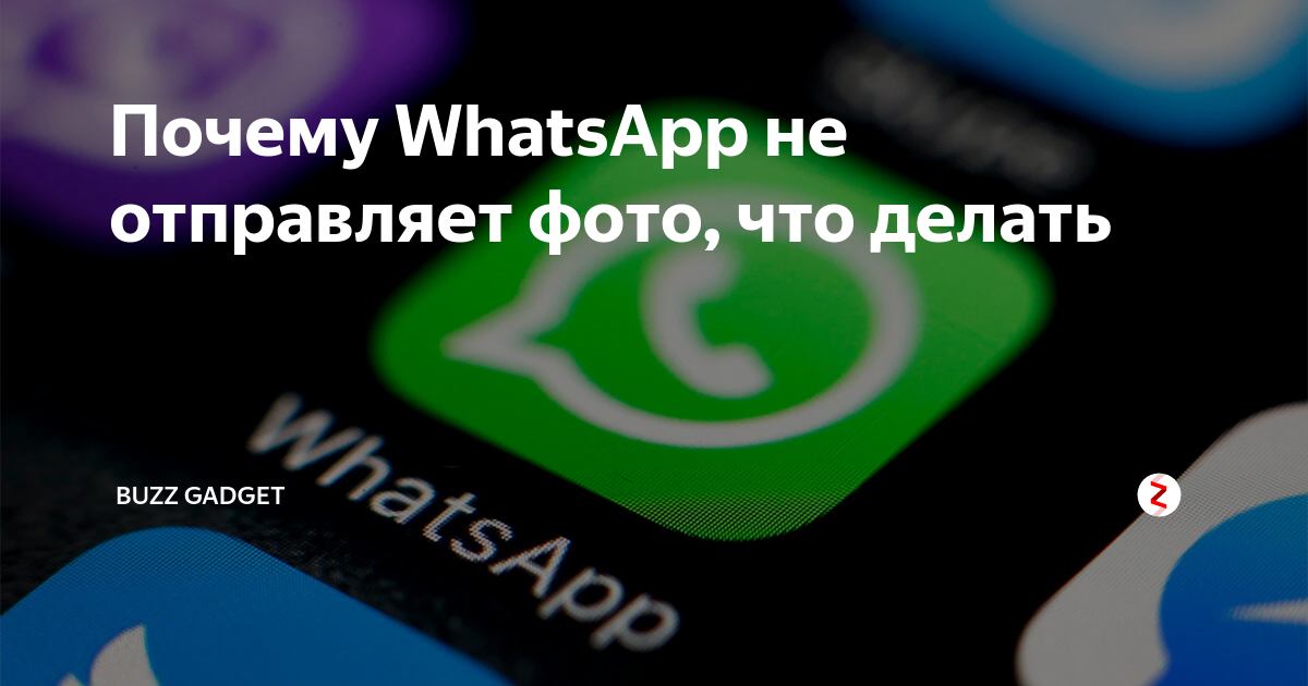 Почему WhatsApp не отправляет фото, что делать | BuZZ Gadget | Дзен