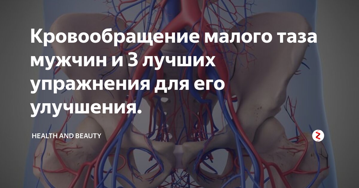 Застой крови у мужчин. Упражнения для циркуляции крови в Малом тазу у мужчин. Улучшение кровообращения. Улучшение кровообращения в Малом тазу у женщин. Упражнения для кровотока малого таза.