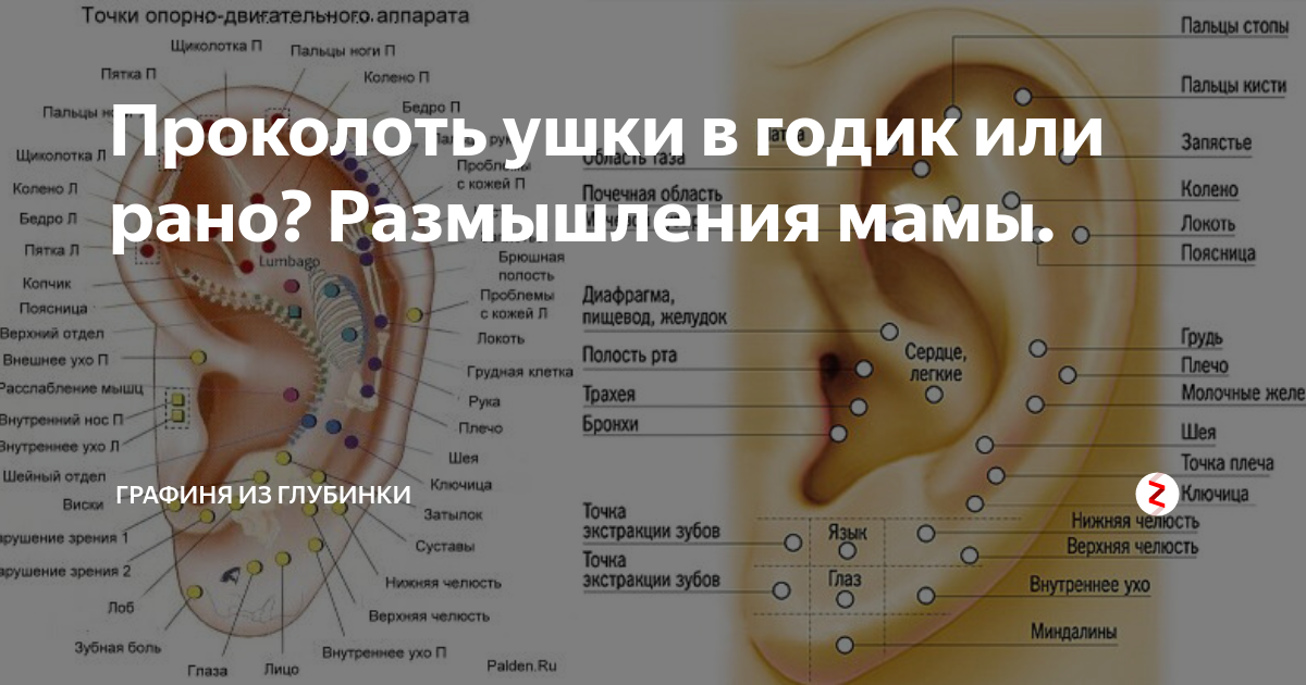 Схема прокола ушей. Схема прокалывания ушей.