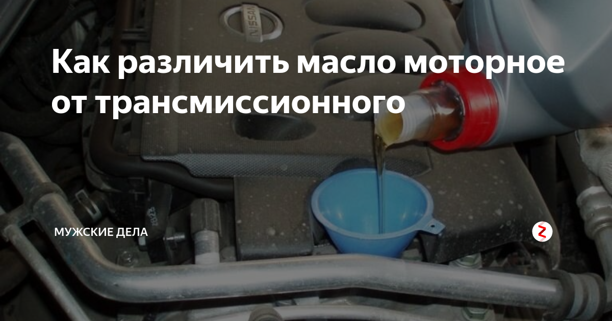 Как различить масло моторное от трансмиссионного | Мужские Дела | Дзен