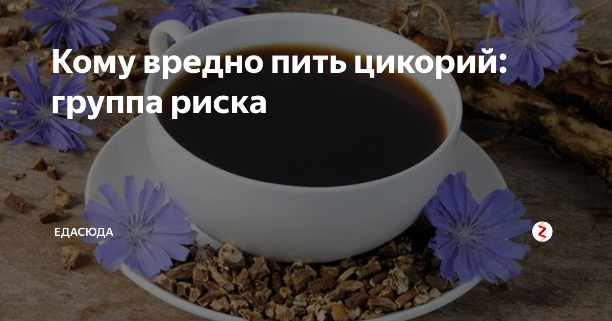 Сколько можно пить цикория в сутки
