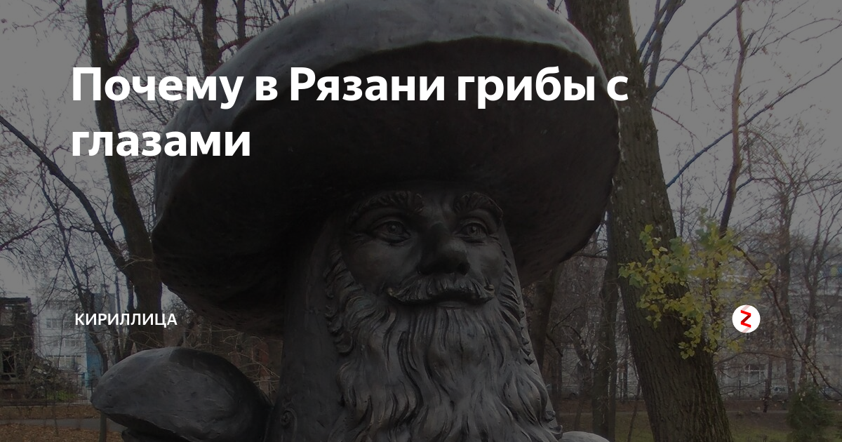 Почему в Рязани грибы с глазами | Кириллица | Дзен