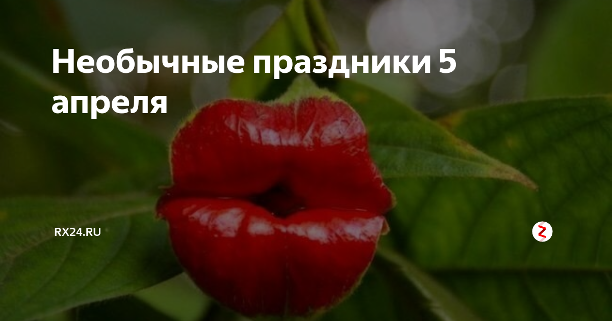 Праздники 5 апреля 24 года. 5 Апреля праздник. 5 Февраля необычные праздники.