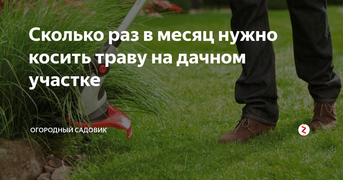 Кто должен косить траву в снт. Подготовка газона к зиме. Газон сколько раз косить. Кто должен косить траву в садовом товариществе за забором. Сколько метров от забора надо косить траву на участке.