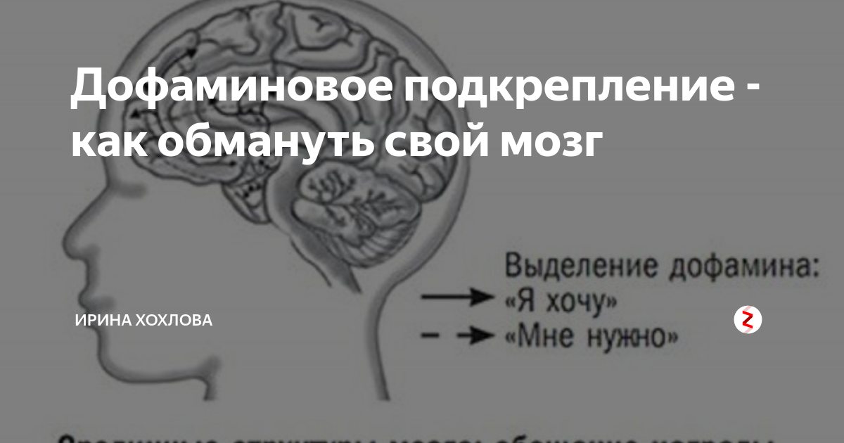 Дофаминовая зависимость. Предупреждение инсульта головного мозга. Профилактика инсульта мозга. Профилактика от инсульта головного мозга. Профилактика инсульта головного мозга у женщин.