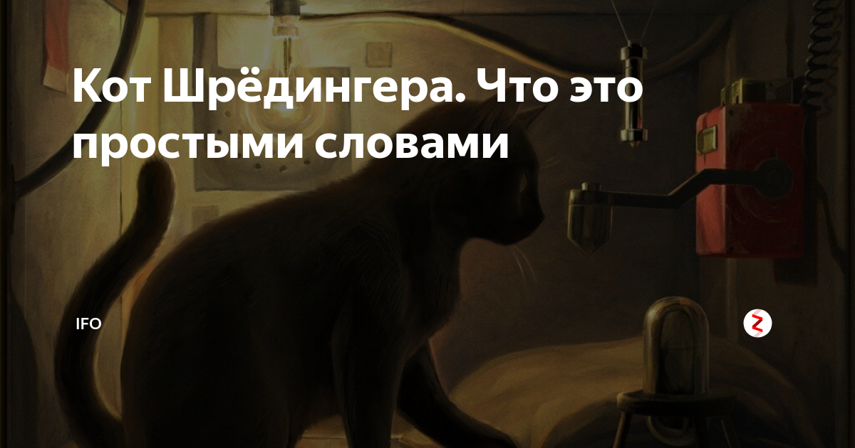 Кот Шрёдингера. Что это простыми словами | IFO | Дзен