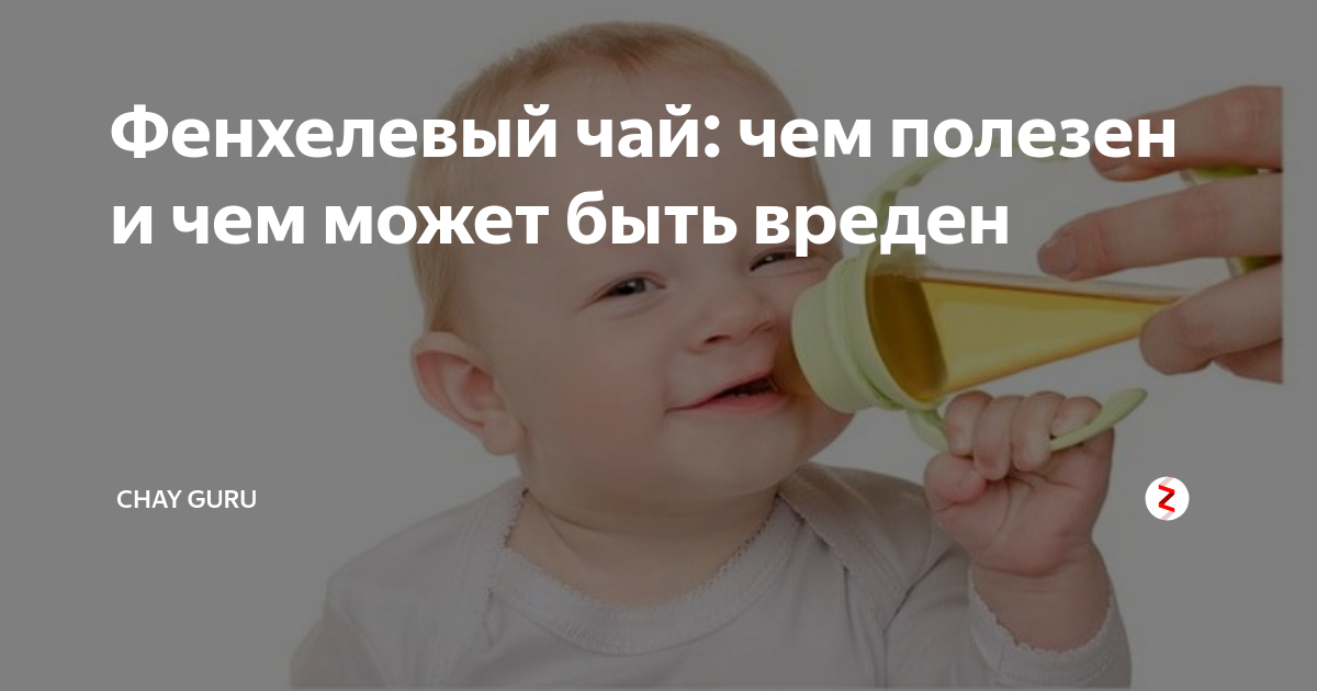 Фенхелевый чай: чем полезен и чем может быть вреден | Chay Guru | Дзен
