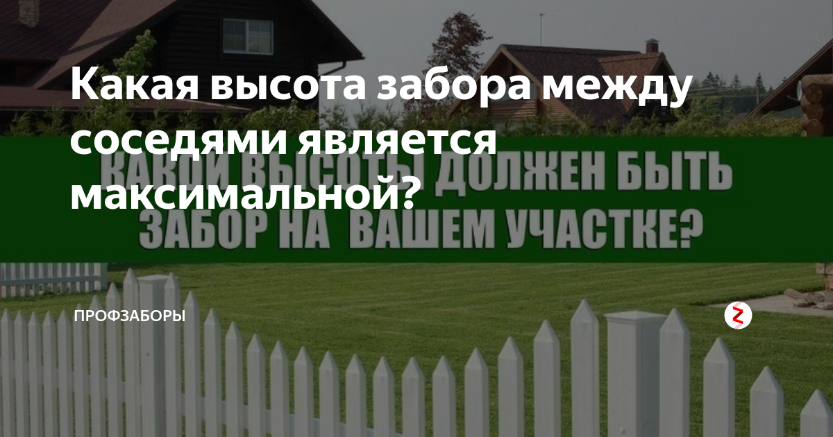 Москва высота забора. Высота забора между соседними участками в СНТ. Нормы по высоте забора между соседями. Нормы высоты забора между соседями. Заборы между участками в СНТ.