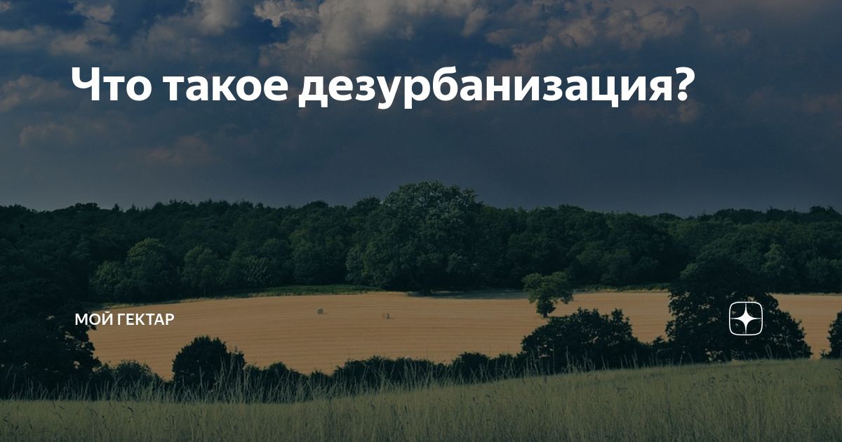 Мой гектар сайт. Мой гектар в Подмосковье. Мой гектар в Подмосковье за 100000. Мой гектар ру официальный сайт. Реклама мой гектар.