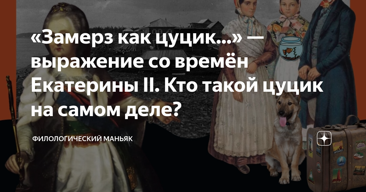 Выражение замерзла как цуцик. Мультяшные собаки. Выражение замерзла как цуцик. Цуцик. Картинки цуцика.