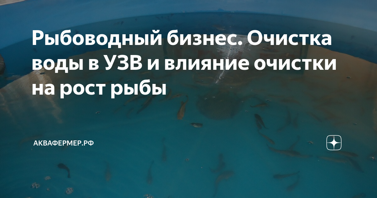 Подключение магистрали очищаемой воды к барабанному мех фильтра в узв с рыбой