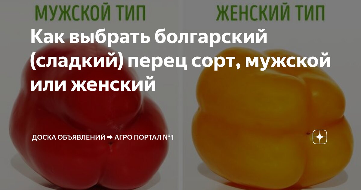 Как определить перец мужской