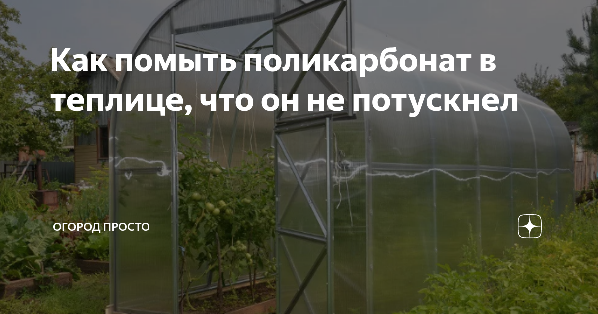 дезинфекция теплицы. помыть поликарбонат.