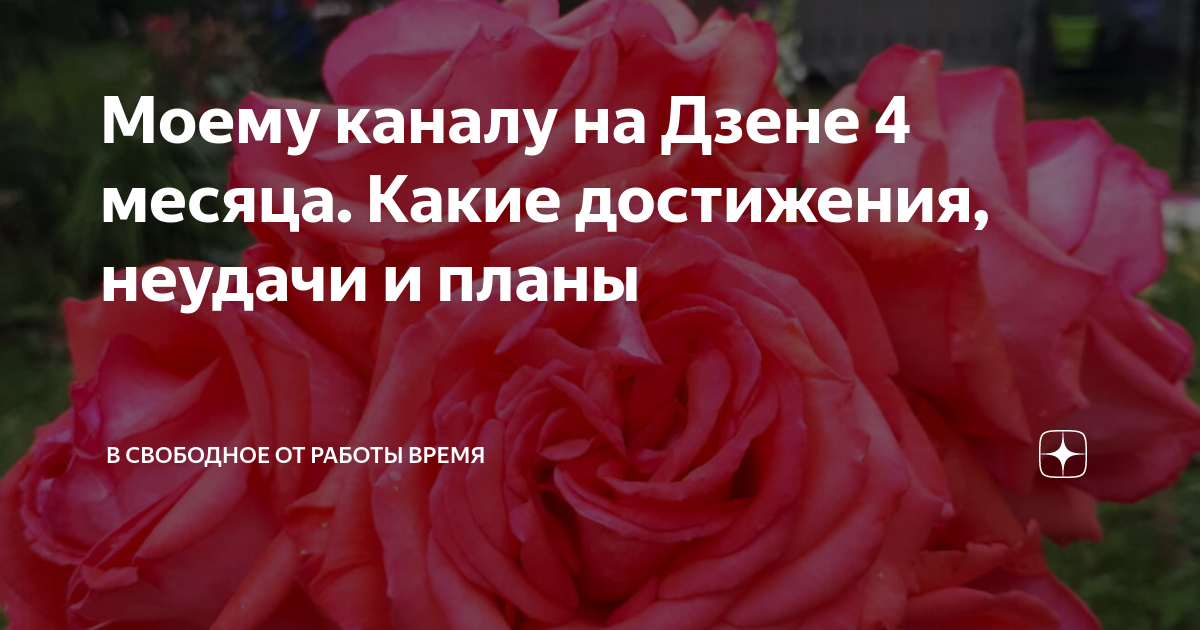 4 на дзене. Роза канал на Дзене. Канал а4 на Дзене.